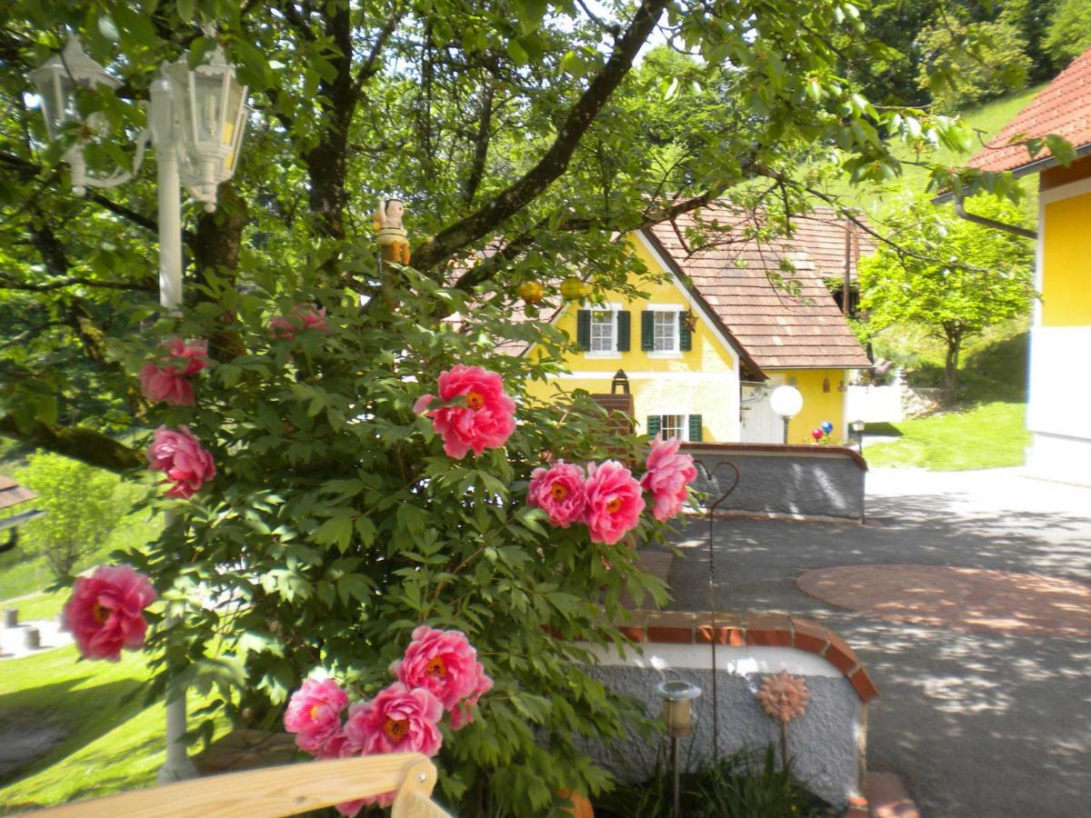 Buchschneider - Ferienhaus Maier - Landhof Schwarzautal Eksteriør billede